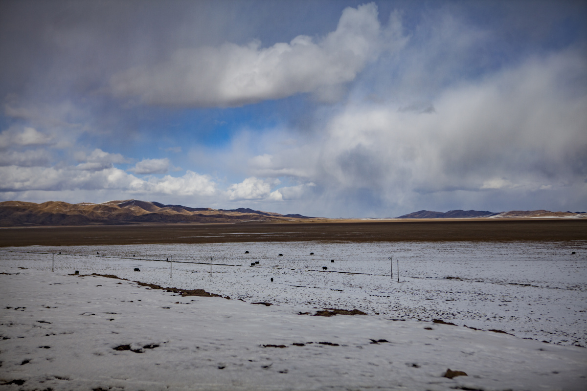 红原大草原12月的风景
