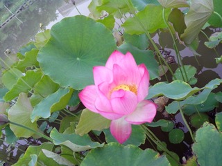 9C6D26FB-9B07-40AB-A225-2131FE5A8AD8/L0/001
