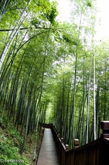 _IGP0496副本.jpg