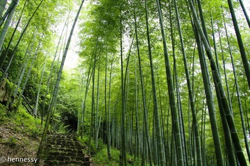 _IGP0360副本.jpg