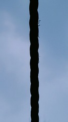 113167