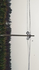 496174
