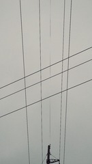 496181