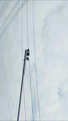 489261