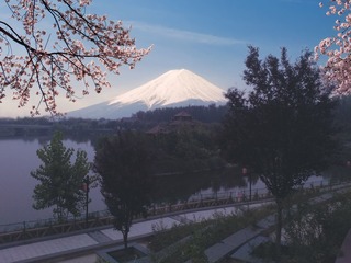 1227126