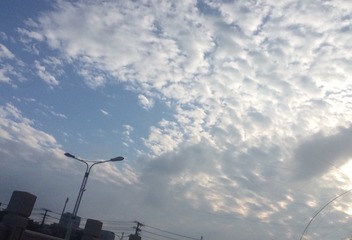 EBCB9F1B-7D47-4C0E-9805-7CA66C9BF9BB/L0/001