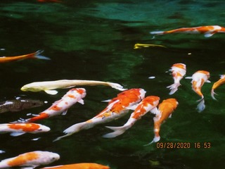 0B2A787D-9A92-4641-B989-0E905631A483/L0/001