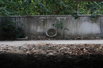 IMG_0605.JPG