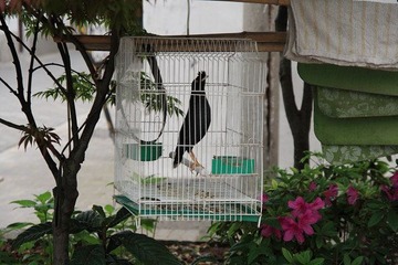 IMG_8100.JPG