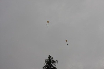 IMG_5950.JPG