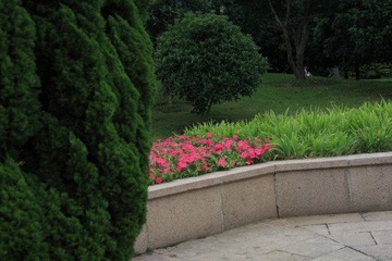 IMG_6023.JPG