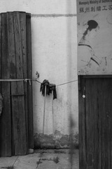 IMG_0800.JPG