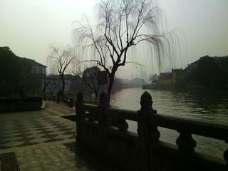 IMG_20130125_104008.jpg