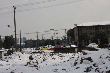 IMG_1251.JPG
