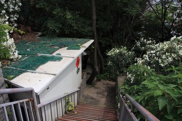 IMG_6036.JPG