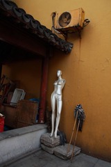 IMG_3383.JPG