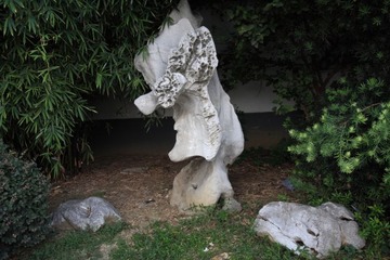 IMG_5540.JPG