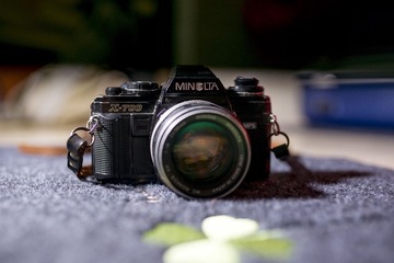 736877