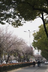 C3374611-059C-4ADD-8A07-9D3AC55C083B/L0/001