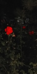1680667