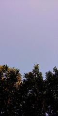 1678847