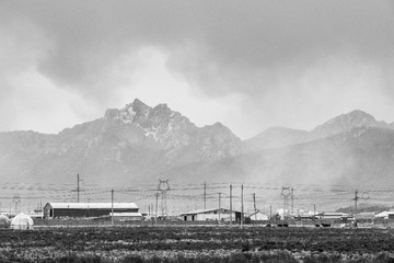 20250524-DSC03839
