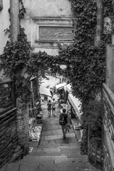 _DSC1780-1