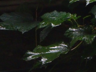 1049564