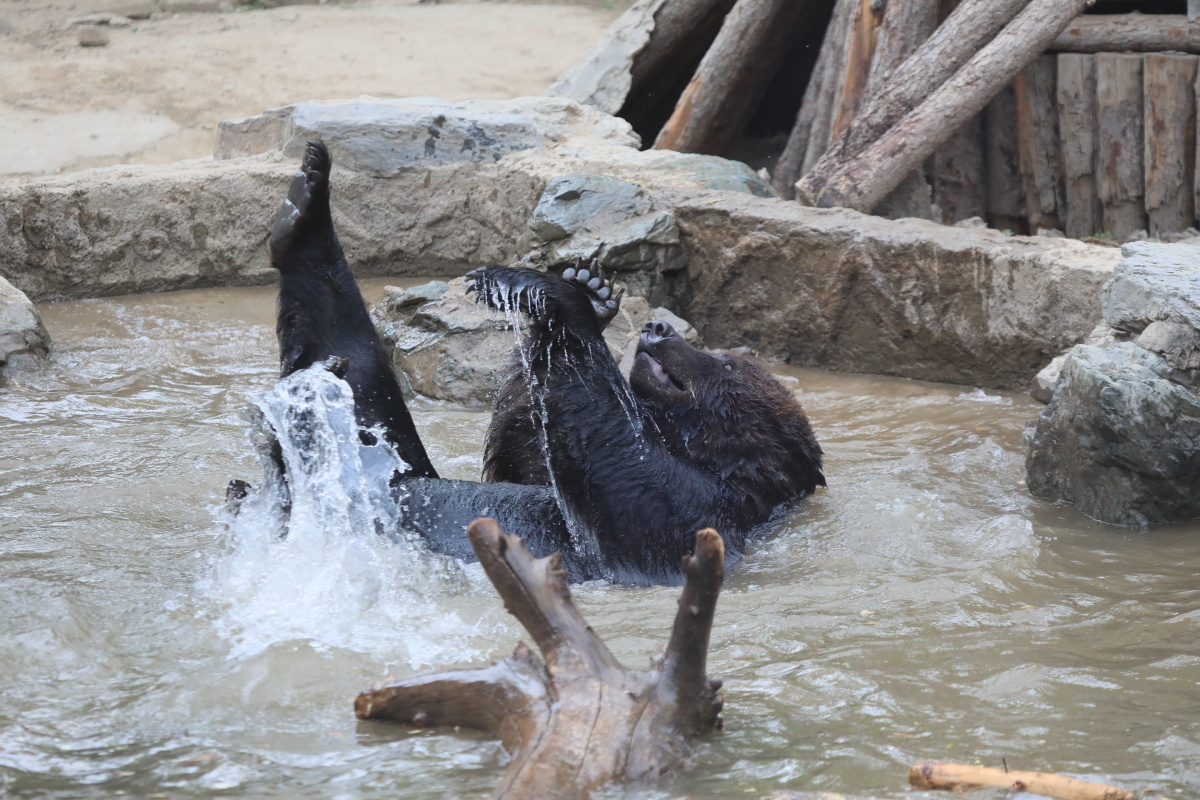脚滑了～ - 鵺铱鵼 - 图虫