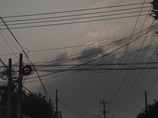 781827