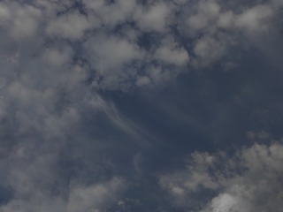 781754