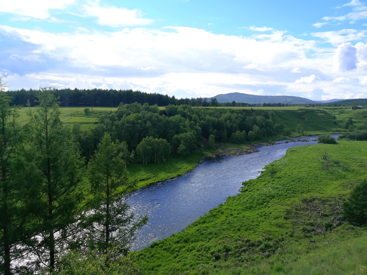 海拉尔国家森林公园遇见