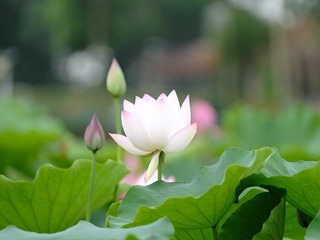 998B4D26-5FA1-45F0-827D-E75D2553E729/L0/001
