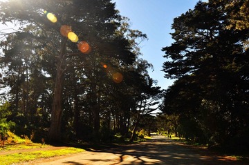 DSC_0044r1.jpg