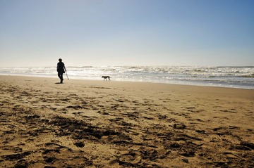 DSC_0085r1.jpg