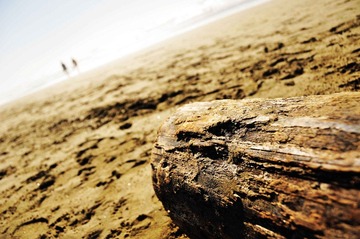 DSC_0091r1.jpg