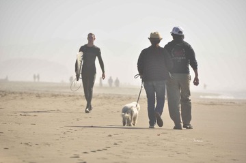 DSC_0102r1.jpg