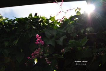 DSC_0639s