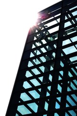 DSC_1249s