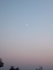 IMG_20200624_195557