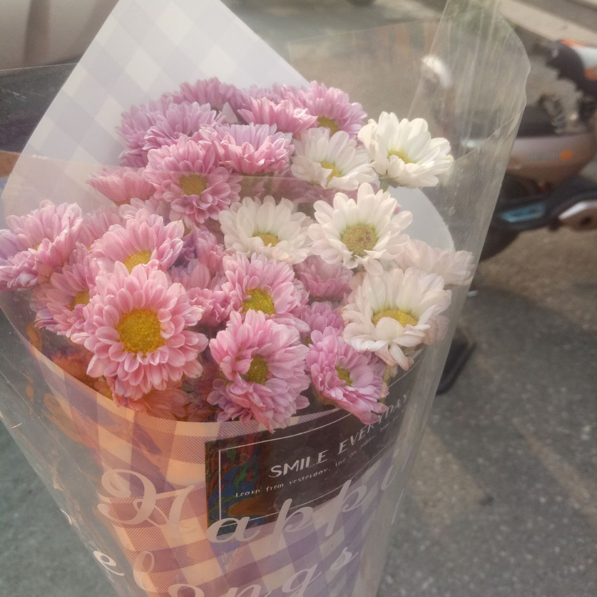 秋天的第一束花小雏菊的花语是藏在心底的爱也寓意着幸福开心坚强小