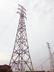 316490