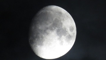 39435DF8-1981-40D7-9C8A-AF7AAEB5B62E/L0/001