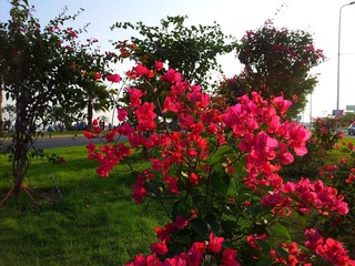 2011-11-27 16.11.34.jpg