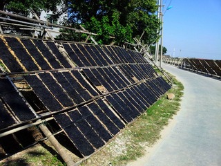 2011-12-03 12.18.17_副本.jpg