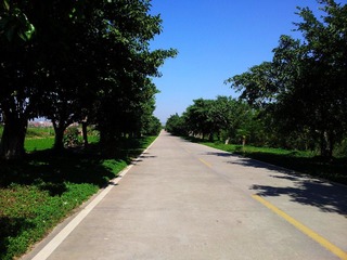 2011-12-03 12.15.17_副本.jpg