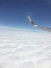 A29A2503-D426-41CE-89B7-6CFB9B879591/L0/001
