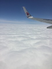 8D1C09D3-D2C1-464B-95D5-38AF437AAD29/L0/001