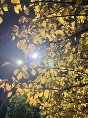 8224D490-5F83-4C2F-B761-C92715547067/L0/001
