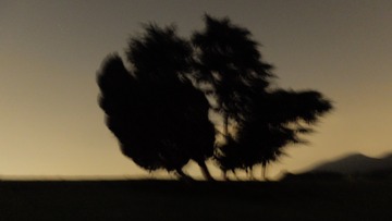 2A466CF1-893C-4F96-BD38-A47139160B46/L0/001